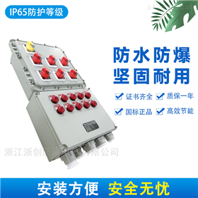 防爆控制箱ZTBXK