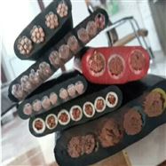 扁电缆YFFB行车电缆