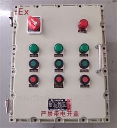 BXK-冷凝液泵現場防爆控制箱